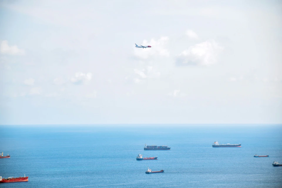 Birds flying over the sea during daytime.