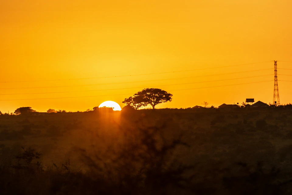 Sunrise over a silhouetted landscape with trees.